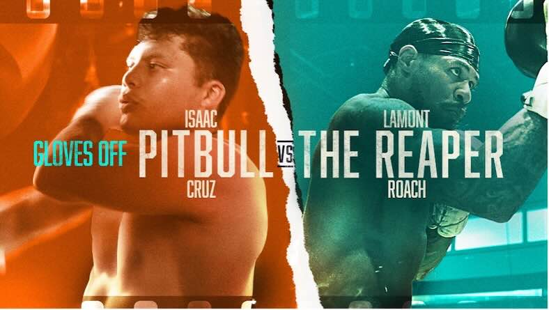 Gloves Off- Pitbull vs Roach